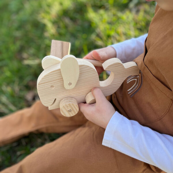 montessori wooden whale toy